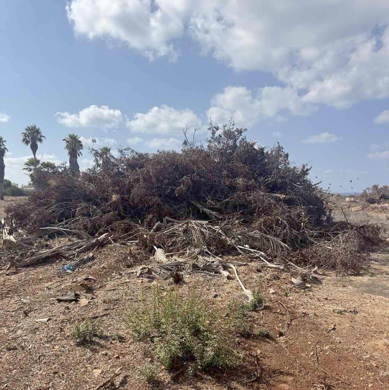 &Epsilon;&iota;&kappa;ό&nu;&epsilon;&sigmaf; &epsilon;&gamma;&kappa;&alpha;&tau;ά&lambda;&epsilon;&iota;&psi;&eta;&sigmaf; &sigma;&tau;&omicron; &Epsilon;&theta;&nu;&iota;&kappa;ό &Delta;&alpha;&sigma;&iota;&kappa;ό &Pi;ά&rho;&kappa;&omicron; &kappa;&alpha;&tau;&alpha;&gamma;&gamma;έ&lambda;&lambda;&omicron;&upsilon;&nu; &omicron;&iota; &laquo;&Phi;ί&lambda;&omicron;&iota; &tau;&omicron;&upsilon; &Alpha;&kappa;ά&mu;&alpha;&raquo;