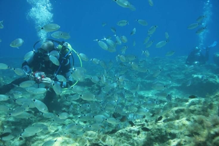 Σε ενίσχυση καταδυτικού τουρισμού στοχεύει το Υφυπουργείο Τουρισμού, λέει ο Κ. Κουμής